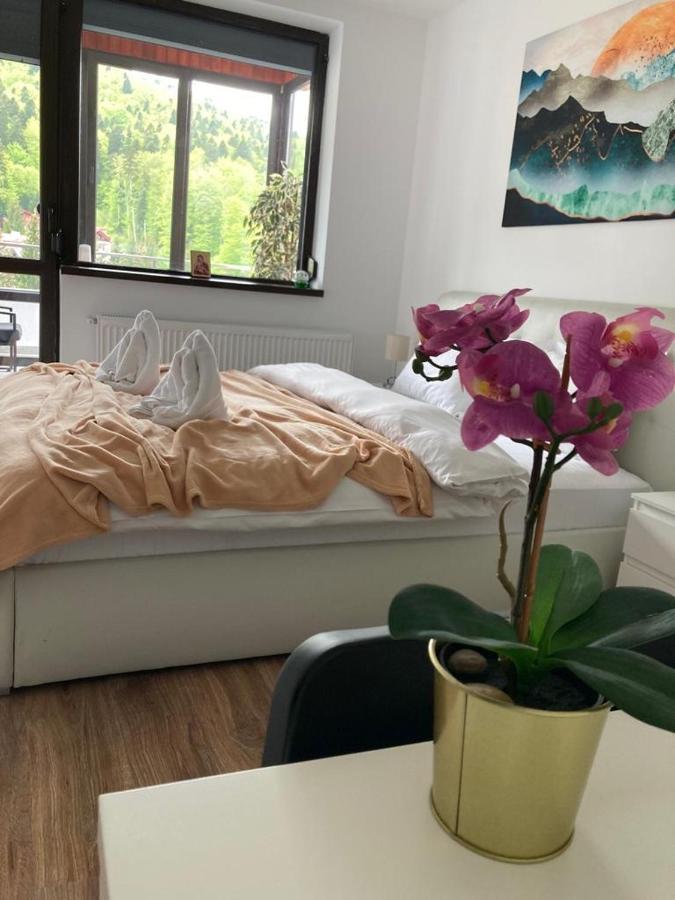Best View Ap With Parking And 2 Bathrooms Синая Екстериор снимка